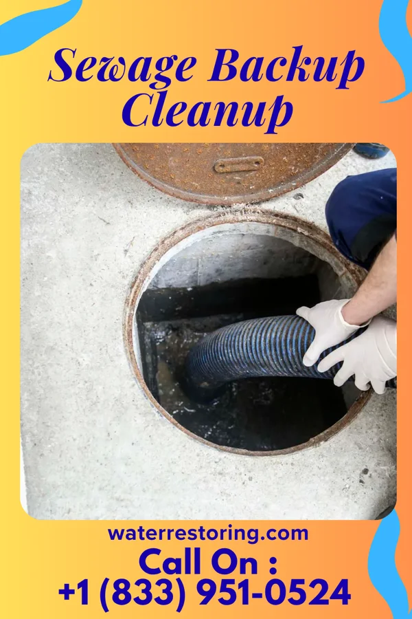 Sewage Backup Cleanup in St. Leonard, MD